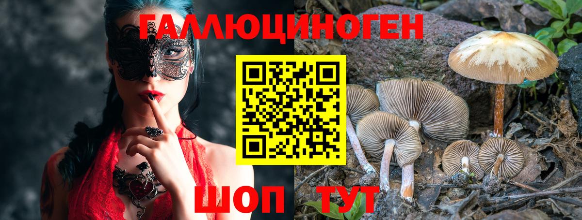 Галлюциногенные грибы Psilocybine cubensis  Вход с VPN  Псилоцибиновые грибы Psilocybine cubensis  купить наркотик  Ессентуки 