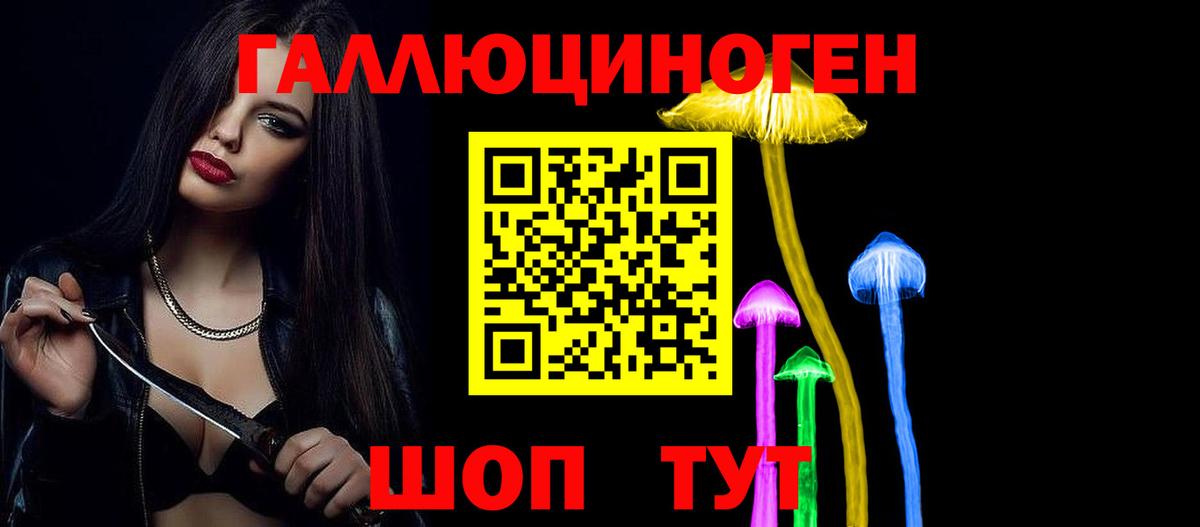 Псилоцибиновые грибы GOLDEN TEACHER Ессентуки